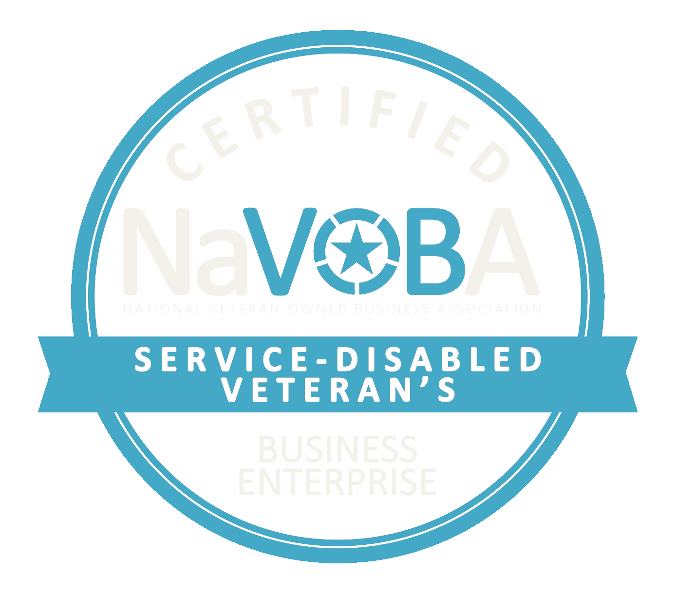 Service-Disabled Veteran's Business